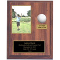 Hole In 1 Plaque